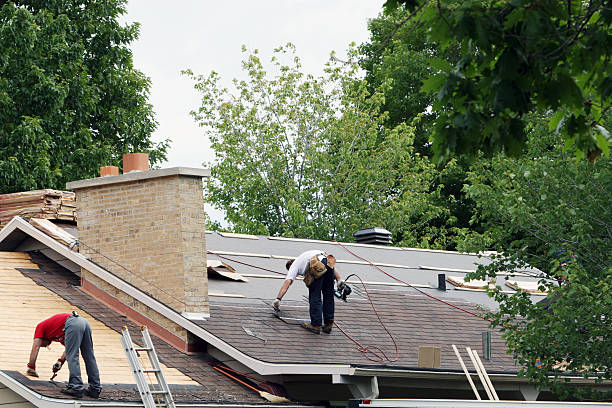 Best Gutter Installation and Roofing  in Royston, GA