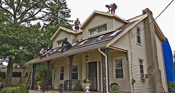 Best Roof Maintenance Services  in Royston, GA