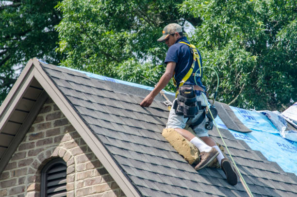 Best Sealant for Roof  in Royston, GA